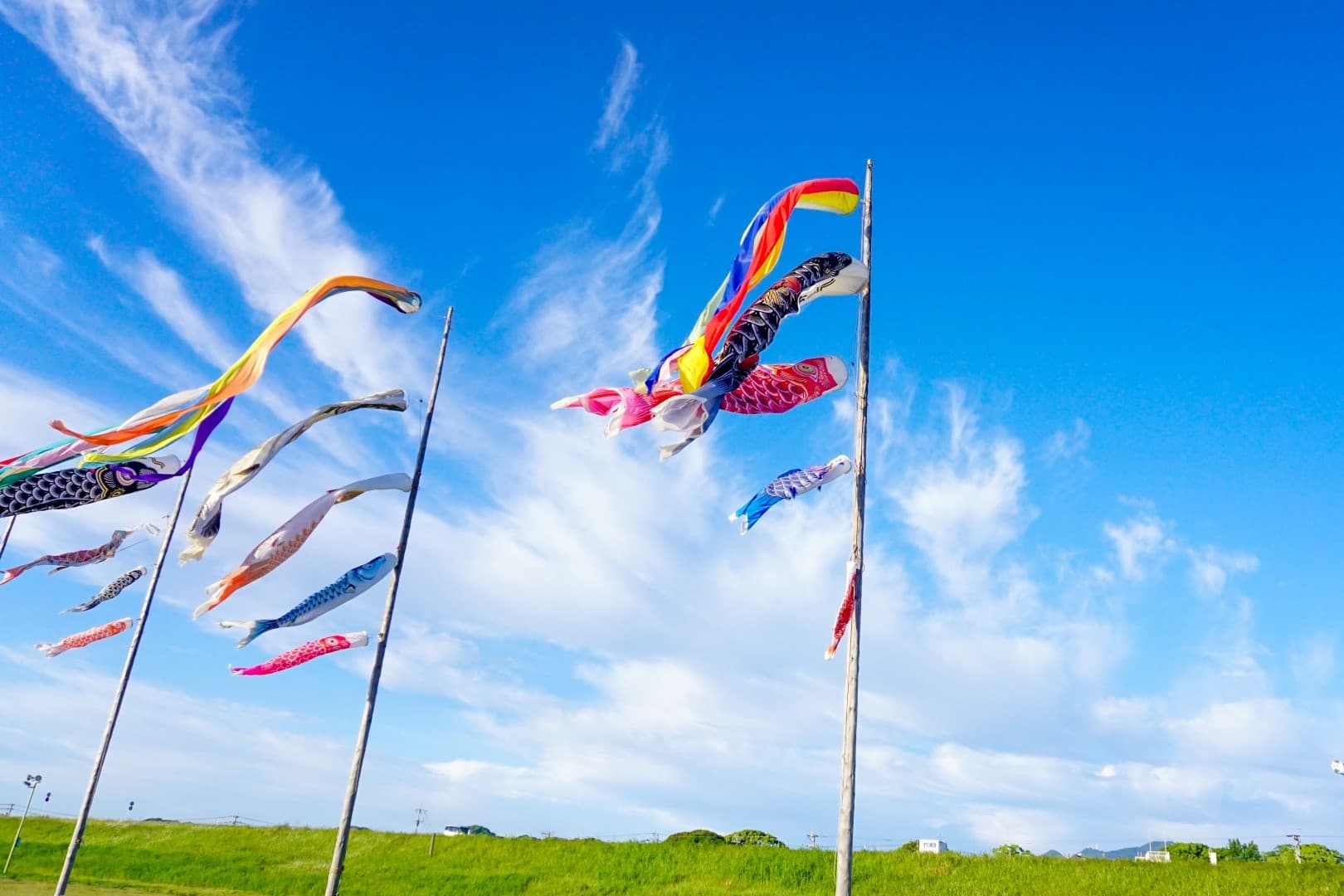 イベント企画・運営の画像